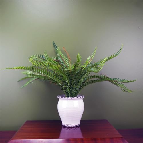 Botanik Premium Artificial Fern Grass