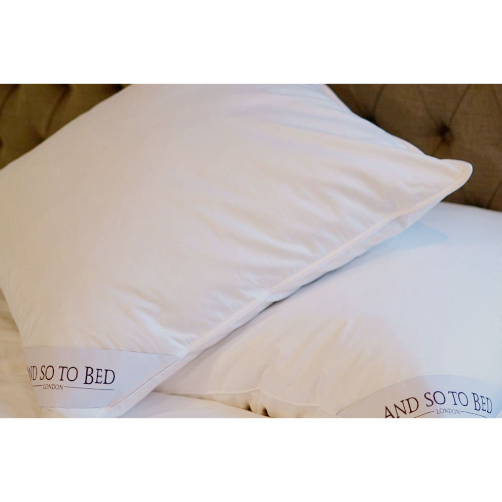 Ambassador Pillow - Standard 50 x 75cm