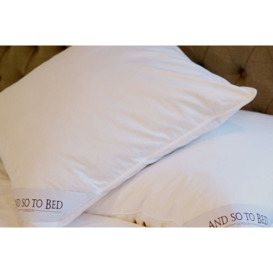 Ambassador Pillow - Large 50 x 90cm