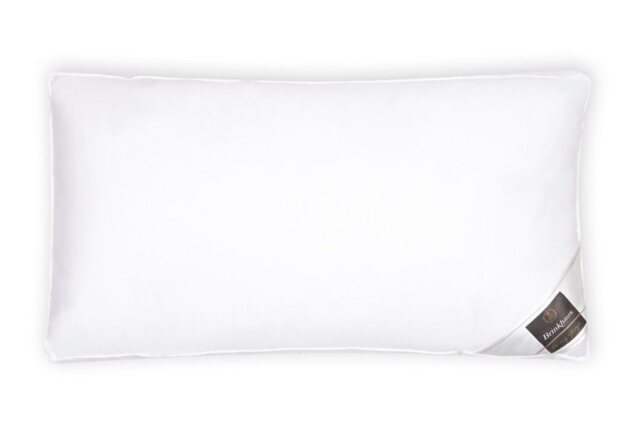 Brinkhaus Down Around Pillow