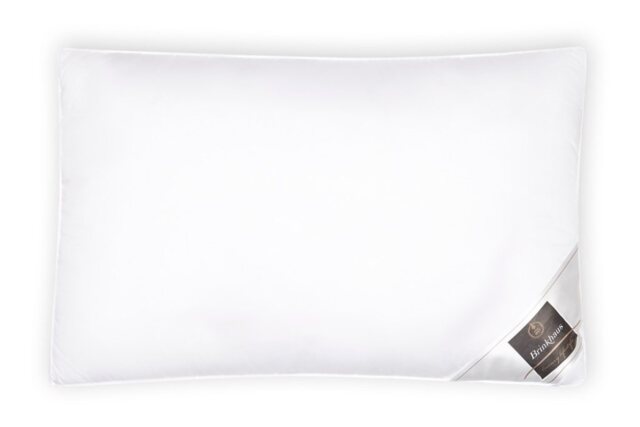 Brinkhaus Down Around Pillow