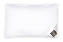 Brinkhaus Down Around Pillow