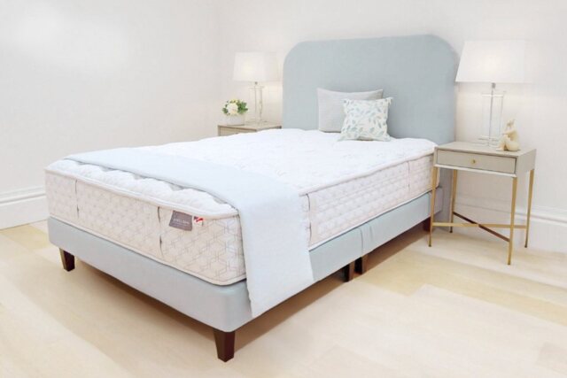 Aireloom Venice Mattress and Aire Divan