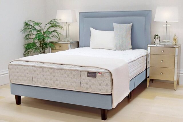 Aireloom Laguna Mattress and Aire Divan