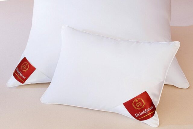 Brinkhaus Duck and Feather Down Pillow