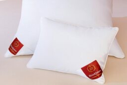 Brinkhaus Duck and Feather Down Pillow