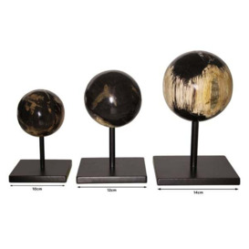 Petrified Wood Sphere, Decorative accessory, Large - Andrew Martin - thumbnail 2