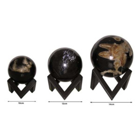 Petrified Wood Sphere, Decorative accessory, Medium - Andrew Martin - thumbnail 2
