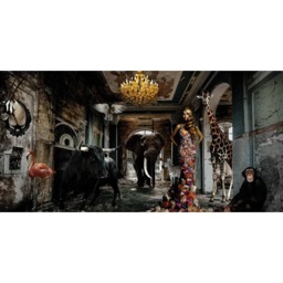 Animal Afternoon, Plexiglass Artwork, 180cm x 75cm, Multicoloured - Andrew Martin - thumbnail 1