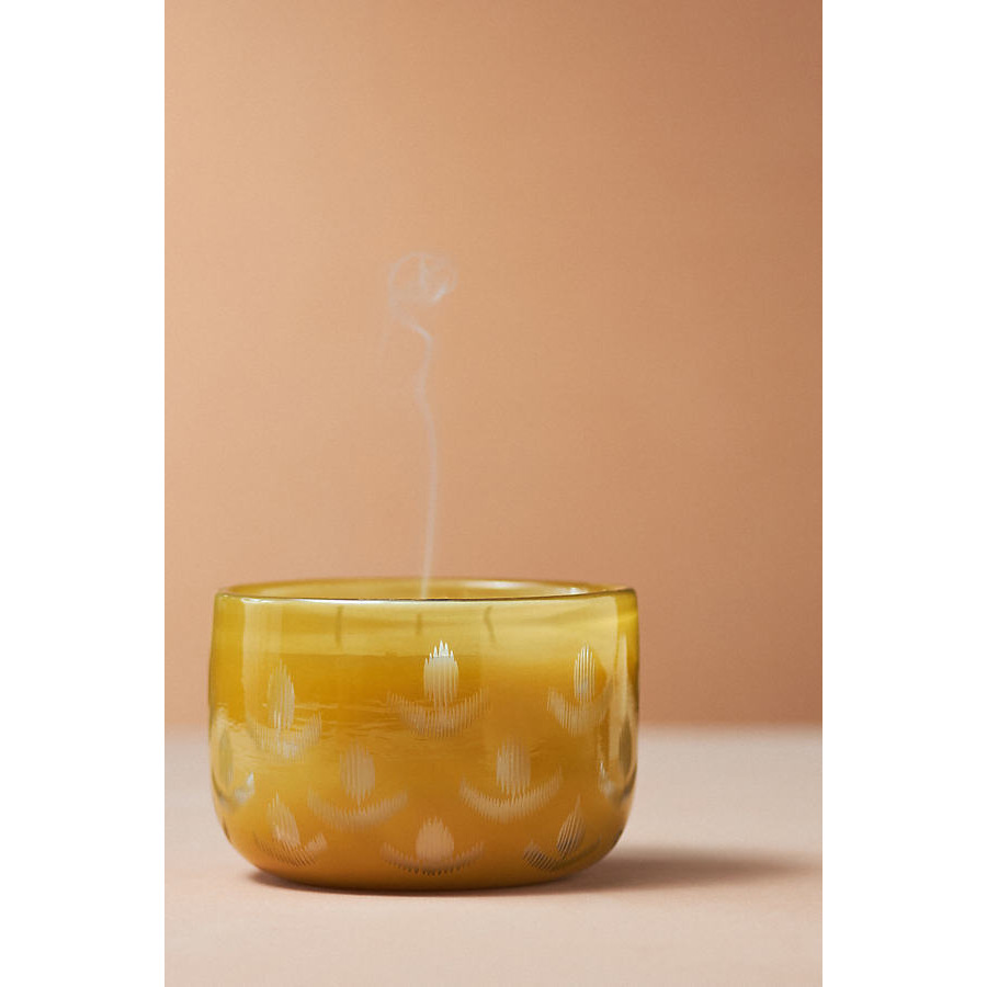 Rohini Fresh Fern Moss Glass Candle - image 1