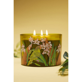 Aria Fresh Hibiscus & Pink Guava Glass Candle