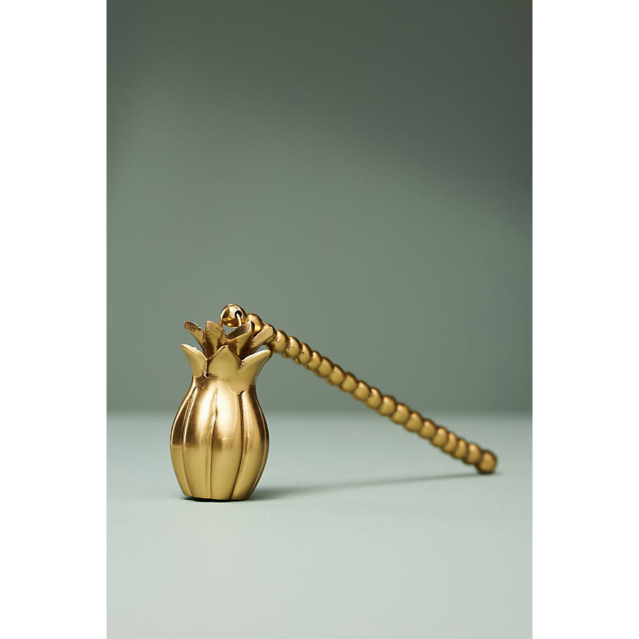 Cara Pineapple Candle Snuffer - image 1