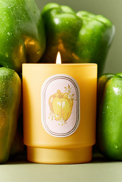 Juliette Fresh Wildflowers & Bell Pepper Boxed Glass Candle - image 1