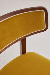 Amy Velvet-Upholstered Beech Wood Dining Chairs, Set of 2 - thumbnail 4