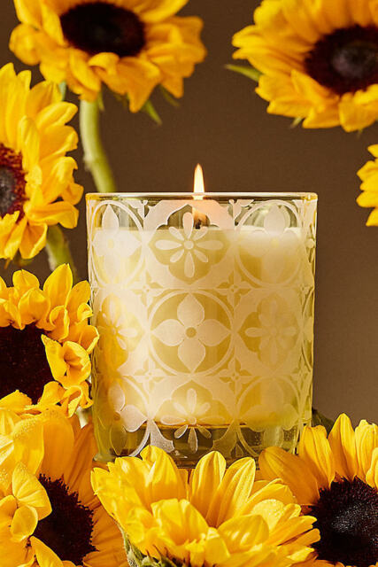 Hotel Bon Séjour Fresh Sunflower & Bergamot Boxed Glass Candle - image 1