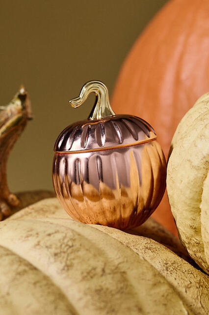 Amber Pumpkin & Spice Copper Pumpkin Candle - image 1