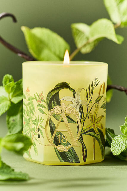 Apothecary 18 Woody Sandalwood & Vanilla Glass Candle - image 1