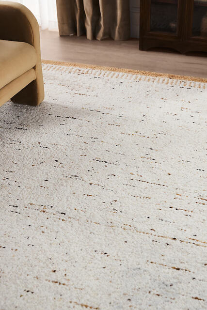 Flatwoven Umbria Rug - image 1