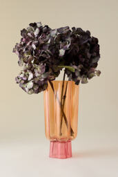 Scalloped Glass Vase - thumbnail 1