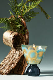 Charlotte Woody Cedar Leaf & Oak Glass Candle - thumbnail 1