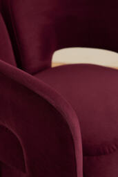 Celeste Velvet Dining Chair - thumbnail 4