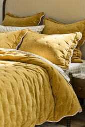 Abbott Cotton Velvet Solid Scalloped Bedspread - thumbnail 2