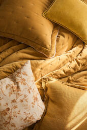 Abbott Cotton Velvet Solid Scalloped Bedspread - thumbnail 4