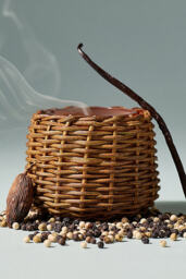 Mini Gather Candle by Anthropologie: Woody Warm Woods & Santal