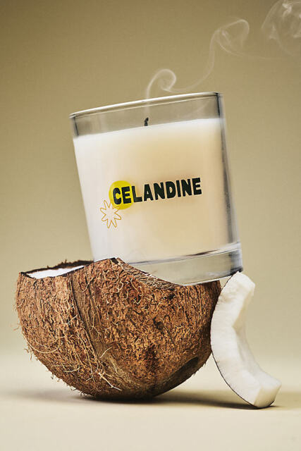 The Celandine Fruity Sun-Kissed Glass Candle - image 1