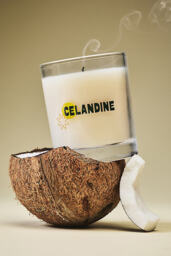 The Celandine Fruity Sun-Kissed Glass Candle - thumbnail 1