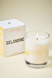 The Celandine Fruity Sun-Kissed Glass Candle - thumbnail 2