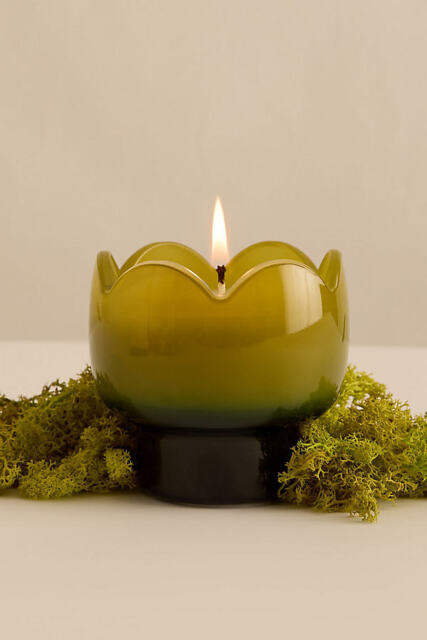 Paddywax Tulip Verbena & Lemongrass Glass Candle - image 1