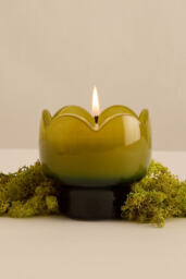 Paddywax Tulip Verbena & Lemongrass Glass Candle - thumbnail 1