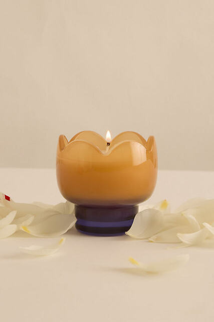 Paddywax Tulip Bronzed Gardenia Glass Candle - image 1