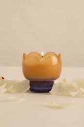 Paddywax Tulip Bronzed Gardenia Glass Candle - thumbnail 1