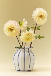 Emma Clay Vase - thumbnail 2