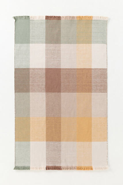 Fringed Indoor/Outdoor Rug - image 1