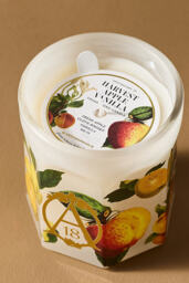 Apothecary 18 Fruity Harvest Apple & Vanilla Glass Candle - thumbnail 3
