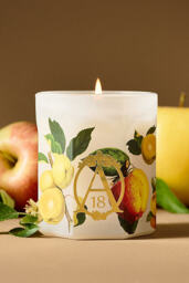 Apothecary 18 Fruity Harvest Apple & Vanilla Glass Candle - thumbnail 1