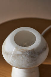 Nathalie Alabaster Sculptural Desk Lamp - thumbnail 4