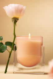 Found Notes Rose & Oud Boxed Candle - thumbnail 4
