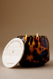 The Gather Candle by Anthropologie: Cheena Fern Moss - thumbnail 2
