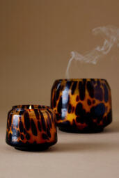 The Gather Candle by Anthropologie: Cheena Fern Moss