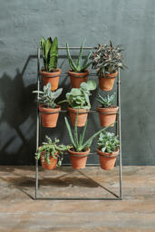 nkuku Jara Plant Stand