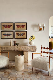 Katie Hodges Faux Fur Accent Chair - thumbnail 2