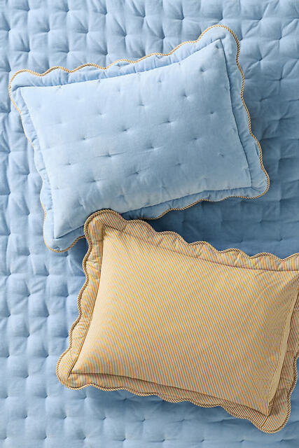 Abbott Cotton Velvet Solid Scalloped Pillowcases, Set of 2