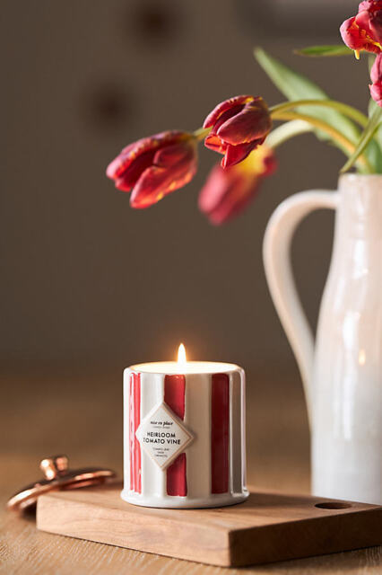 mise en place Fruity Heirloom Tomato Vine Ceramic Candle - image 1