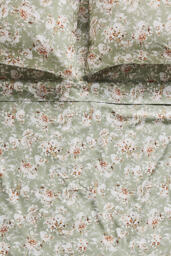 Organic Cotton Sateen Printed Sheet Set - thumbnail 1
