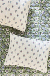Cotton Printed Pillowcases, Set of 2