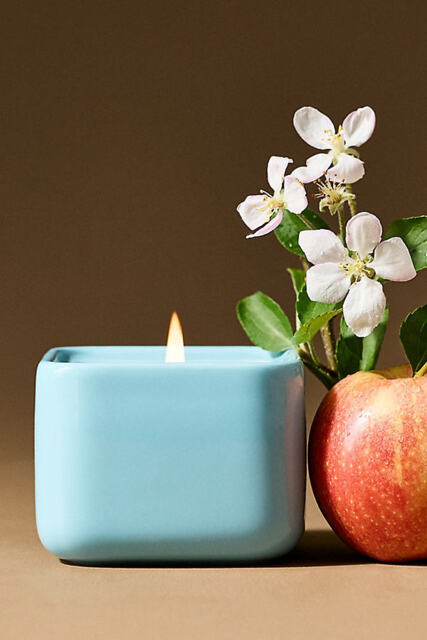 Lucie Cat Fruity Harvest Apple & Vanilla Ceramic Candle - image 1